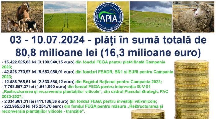 APIA a făcut plăți de peste 80,8 milioane lei