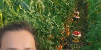 Și-a vândut legumele din solar în scop nobil!