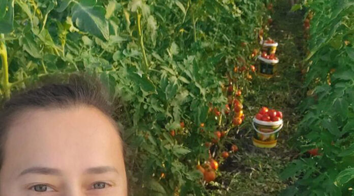 Și-a vândut legumele din solar în scop nobil!