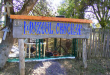 Accente noocratice la Muzeul Crucilor de la Măceşu (Târgu-Cărbuneşti) – ,,A plecat tăicuţa, casa e pustie /poarta e legată cu un lanț de fier/în grădină-s, Doamne, butucii de vie/ cumpăna fântânii se înalţă-n cer”!