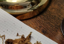 Încă o mică comoară găsită de un detectorist amator!