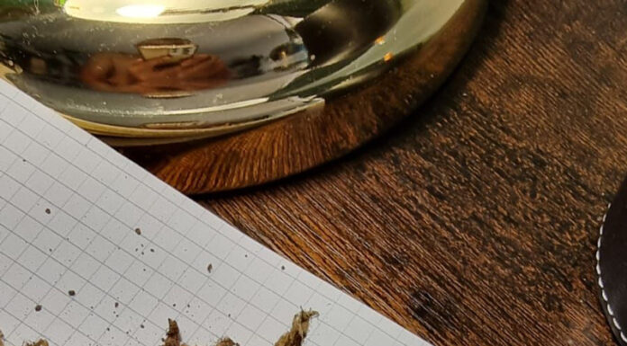 Încă o mică comoară găsită de un detectorist amator!