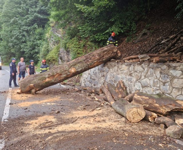 WhatsApp-Image-2024-07-02-at-08.27.52_9f58cdc5-1-640x523