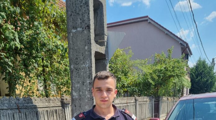 FOTO,VIDEO| Godinești: Pompierii s-au mobilizat pentru salvarea unei berze