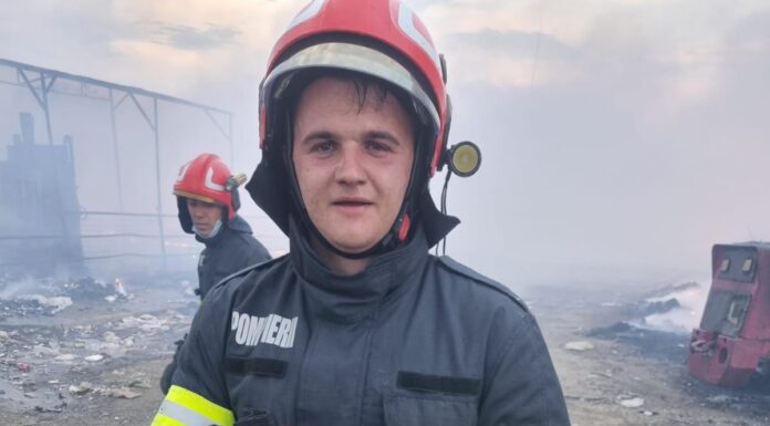 Cinci cățeluși, salvați de pompierii care au intervenit în incendiul de la Bârsești