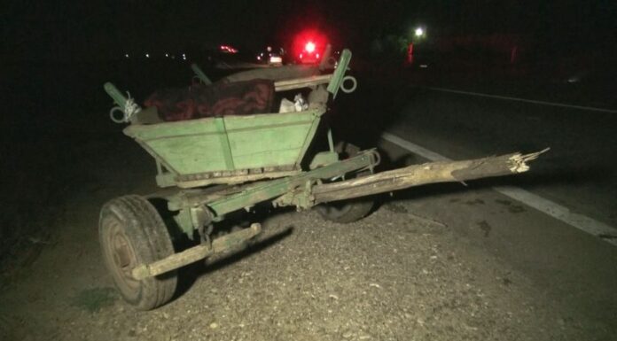 Căruță răsturnată în șanț. Căruțașul era băut!