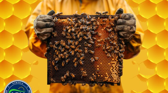Ultimele zile pentru apicultori de depunere la APIA a cererilor de plată