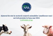 Bani pentru crescătorii de animale