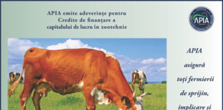 APIA eliberează adeverințe fermierilor crescători de animale care doresc să acceseze credite bancare