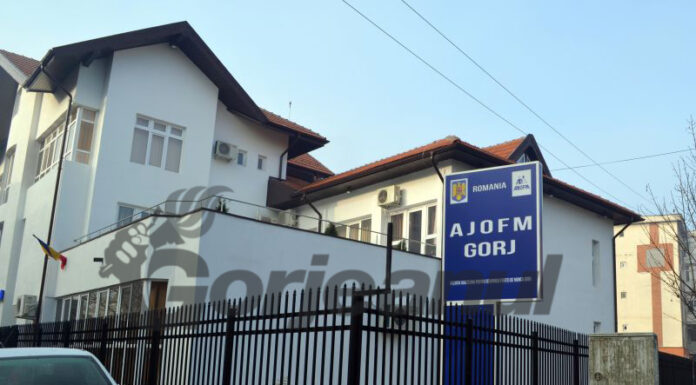 Nouă cursuri de formare profesională debutează la AJOFM