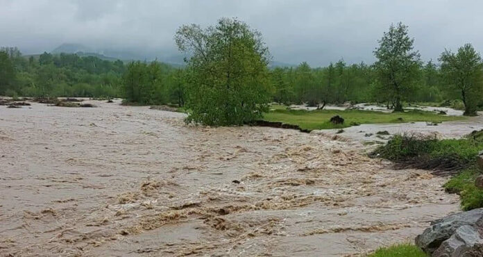 bcafb0d2-1ec0-4ae0-8fdc-af679aebcb51