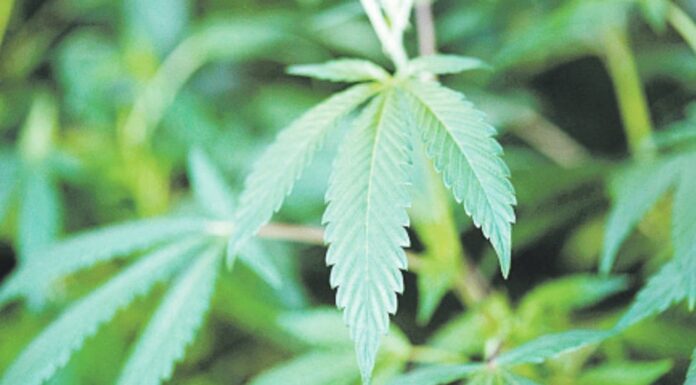 Pericol! Droguri în dulciurile consumate de copii