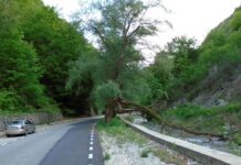 Repere estivale – Revenire în lumea carstului gorjean