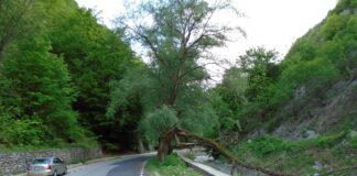 Repere estivale – Revenire în lumea carstului gorjean