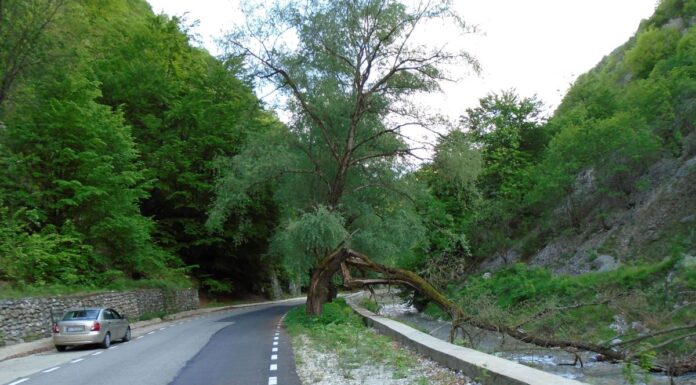 Repere estivale – Revenire în lumea carstului gorjean