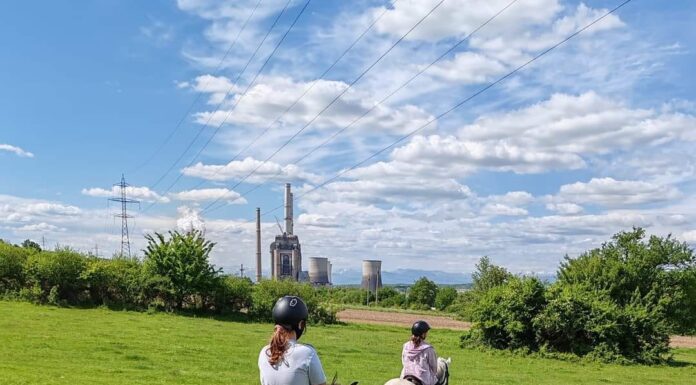 Cât costă o plimbare la Centrul de Echitație deschis la Rovinari
