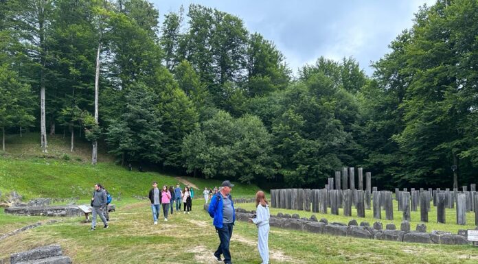 Doi elevi din Gorj, la tabăra de vară a Academiei Române