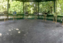 S-au desemnat câștigătorii concursului ,,Brâncuși, prin ochi de copil”!