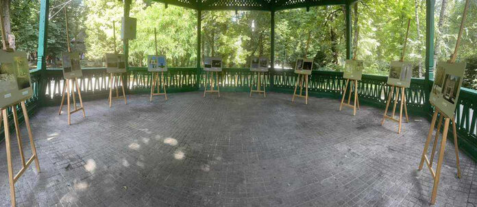 S-au desemnat câștigătorii concursului ,,Brâncuși, prin ochi de copil”!