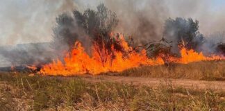 Semnal de alarmă tras de APIA! Este interzisă incendierea pajiștilor și a miriștilor
