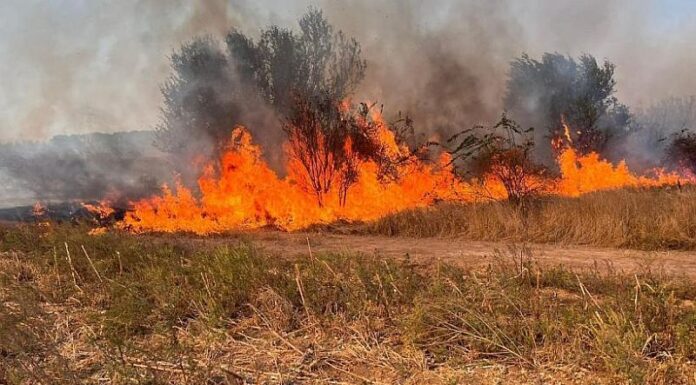 Semnal de alarmă tras de APIA! Este interzisă incendierea pajiștilor și a miriștilor