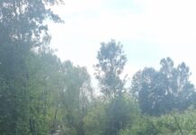 Borăscu: SGA Gorj a început decolmatarea pârâului Jilț