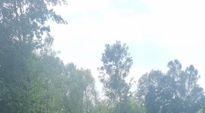 Borăscu: SGA Gorj a început decolmatarea pârâului Jilț