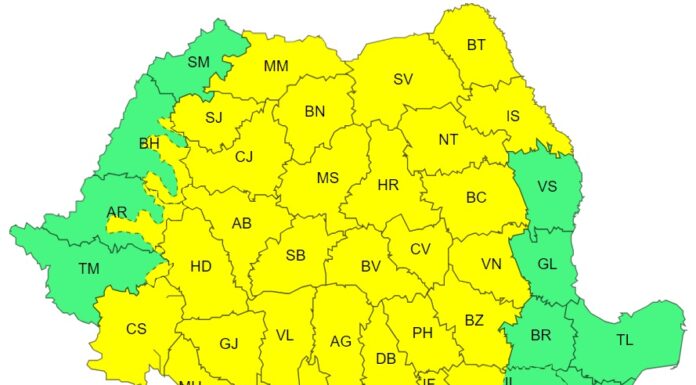 Cod galben de vijelii