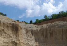 Comisarii de mediu au amendat o firmă din Padeș cu 60.000 de lei