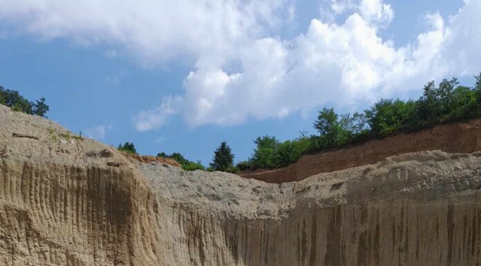 Comisarii de mediu au amendat o firmă din Padeș cu 60.000 de lei