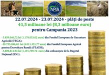 APIA: Plăți de peste 41,5 milioane lei pentru Campania 2023