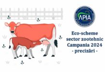 Precizări cu privire la eco-schemele din sectorul zootehnic – Campania 2024