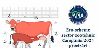 Precizări cu privire la eco-schemele din sectorul zootehnic – Campania 2024