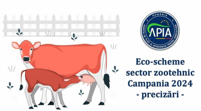 Precizări cu privire la eco-schemele din sectorul zootehnic – Campania 2024