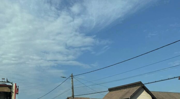 Saci galbeni pentru reciclare în zeci de localități din Gorj