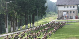 Câți elevi din Gorj au fost admiși la liceele militare