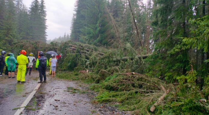 Furtună puternică pe Transalpina, trafic blocat. Copaci doborâți pe șosea, zeci de mașini oprite