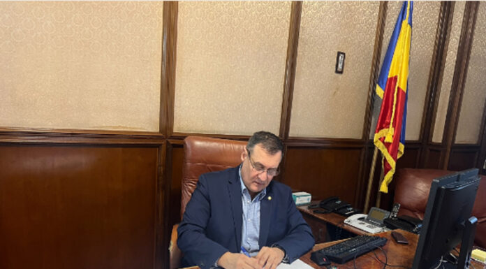 Banța, lector la INA