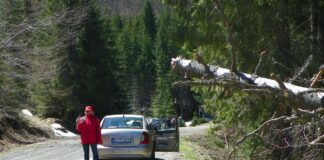 Repere estivale – Revenire în lumea carstului gorjean