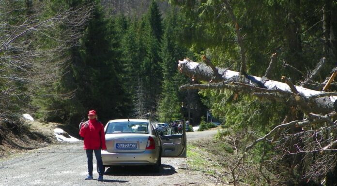 Repere estivale – Revenire în lumea carstului gorjean