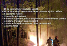 O primă victimă a incendiilor de vegetație! Arsuri pe 90% din suprafața corpului