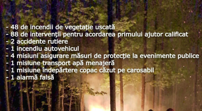O primă victimă a incendiilor de vegetație! Arsuri pe 90% din suprafața corpului