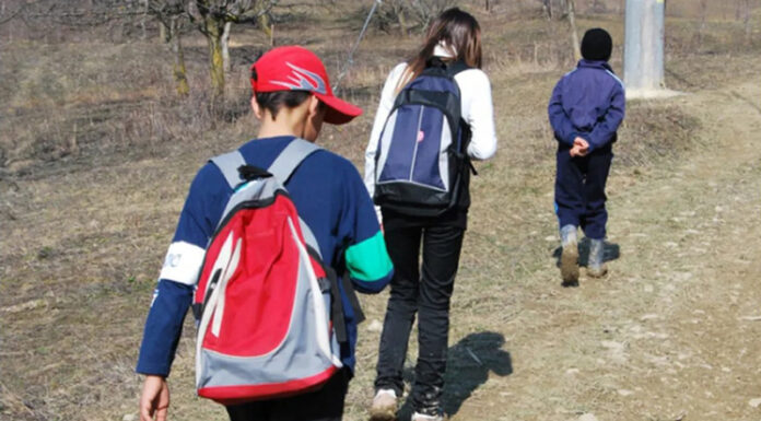 Câți bani vor primi elevii care fac naveta