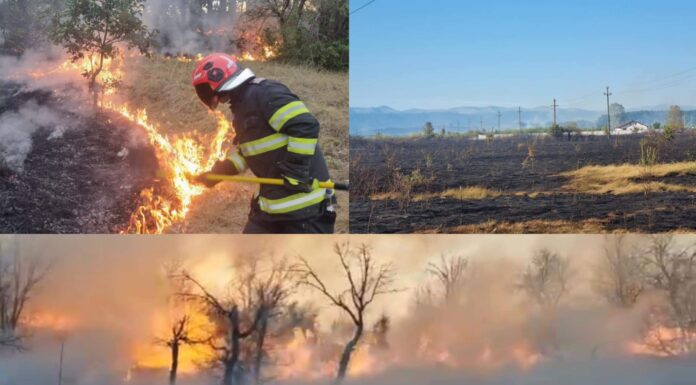 ISU Gorj: Peste 500 de incendii de vegetație