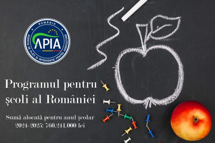 FB_IMG_1724401469076