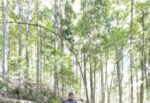 Dosar penal și amendă de 10.000 de lei pentru Ocolul Silvic Eparhial Gorj