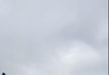 I-au furat steagul lui Pănescu!