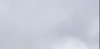 I-au furat steagul lui Pănescu!