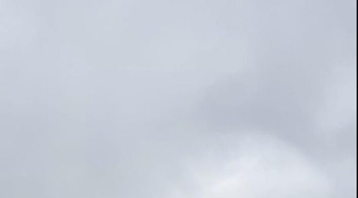 I-au furat steagul lui Pănescu!