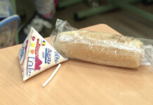 Câți bani dă Guvernul pentru lapte și fructe în școli